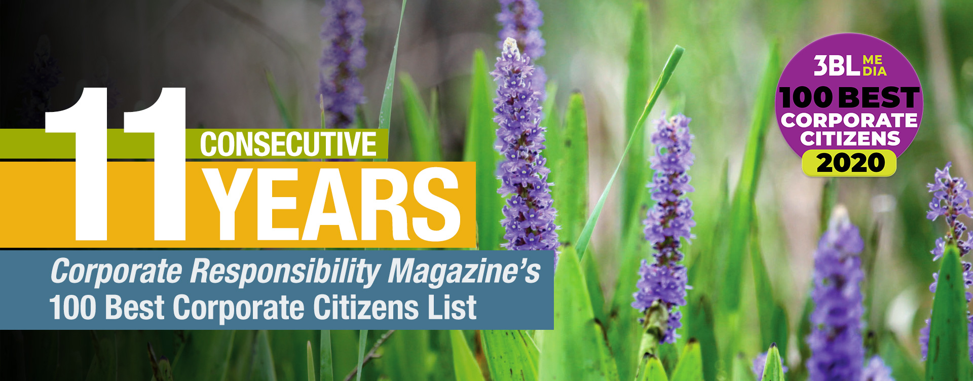 11 consecutive years on Corporate Responsibility Magazine's 100 Best Corporate Citizens List