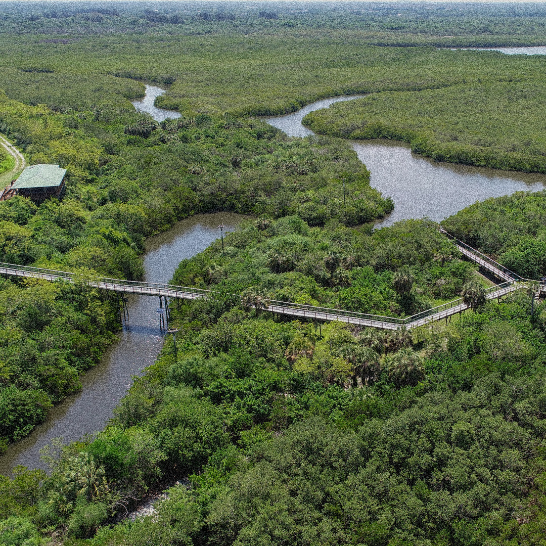 Mosaic Foundation Protecting Water Reclaimed Zone